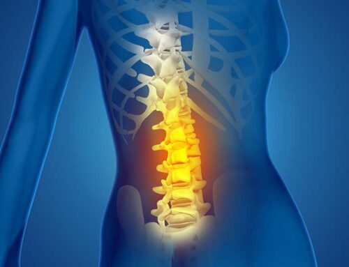 Menopausia y Osteoporosis: ¿Cómo Notar, Tratar y Prevenir Este Problema Silencioso?