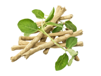 Extracto de ashwagandha