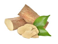 Extracto de tongkat ali